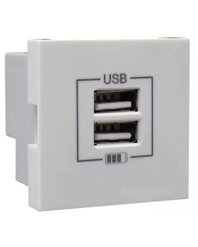 Розетка USB двойная, зарядная, белая (45439 SBR): Розетка USB двойная в Миассе