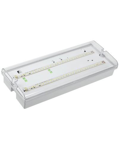 Светильник аварийный ДПА 5042-1 1ч IP65 LIGHTING (LDPA0-5042-1-65-K01). Светильник аварийный универсальный. IEK в Миассе