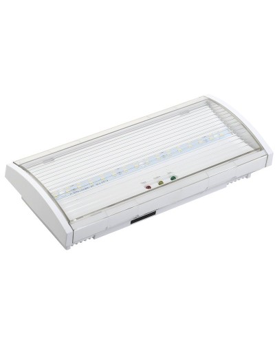 Светильник аварийный ДПА 5043-3 10-24/220В 3ч IP54 LIGHTING (LDPA1-5040-3-54-K01). Светильник аварийный постоянного действия. IEK в Миассе
