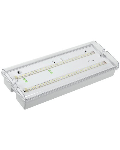 Светильник аварийный ДПА 5042-3 3ч IP65 LIGHTING (LDPA0-5042-3-65-K01). Светильник аварийный универсальный. IEK в Миассе