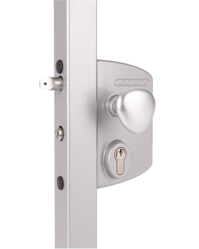 LIKQ4040 U2L (цвет: RAL 9005, черный). Замок электромеханический для калиток. Locinox в Миассе