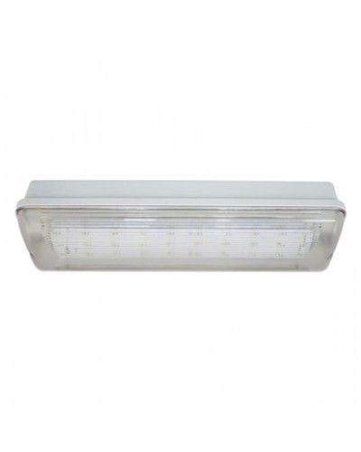 SL-213-30LED1.8 исп.1 IP54. Светильник аварийного освещения. ИП Раченков А.В. в Миассе