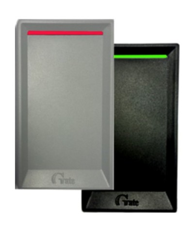 Gate-Reader-EH. Считыватель. Равелин в Миассе