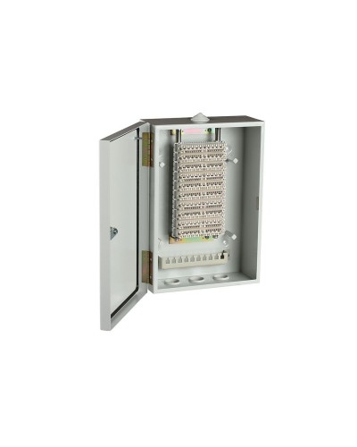 ШРН-В/100-Р (120908-00122). Шкаф ШРН-В/100-Р, плинт ПВТ-10Р-5е. ССД (Связьстройдеталь) в Миассе